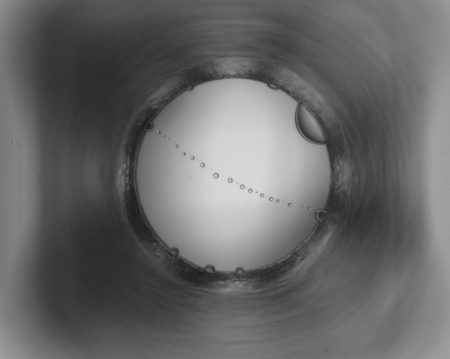 X0000102470356200808151433