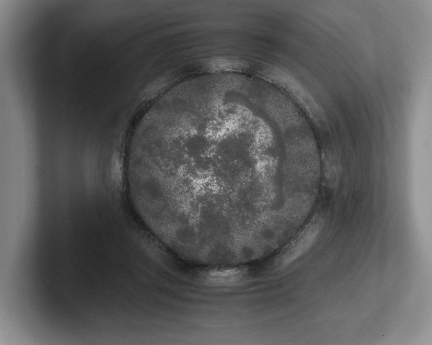 X0000102470357200808151433