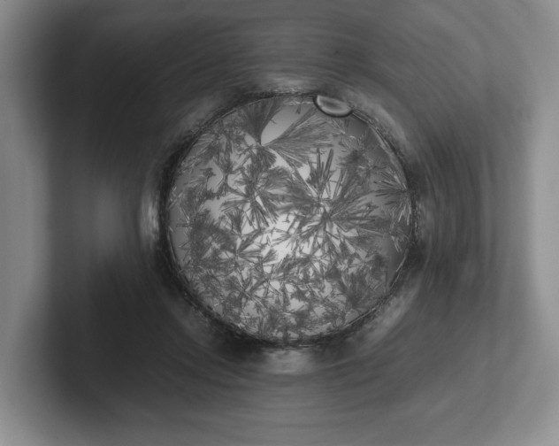 X0000102470358200808151433