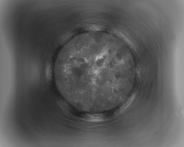 X0000102470359200808151433