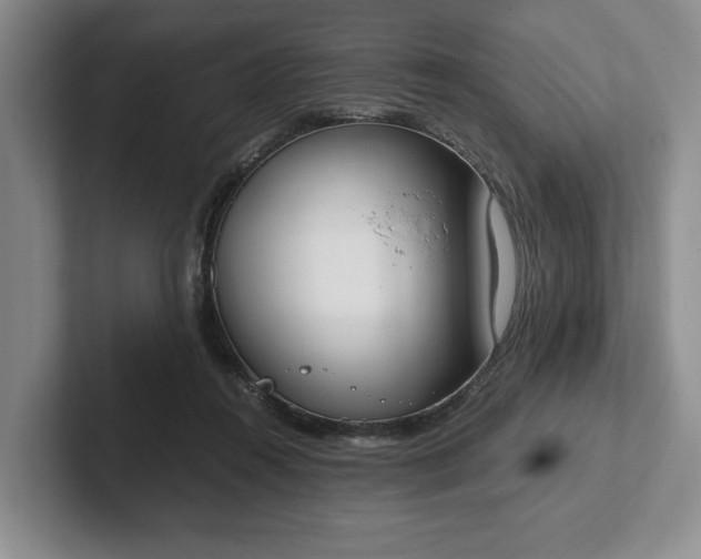 X0000102470360200808151433