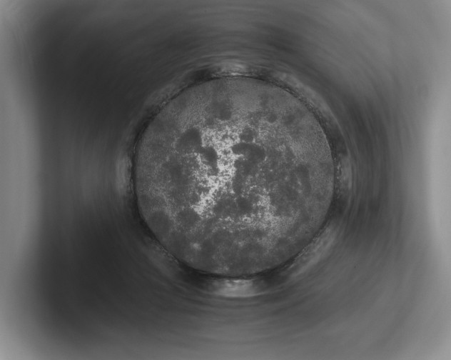 X0000102470361200808151433