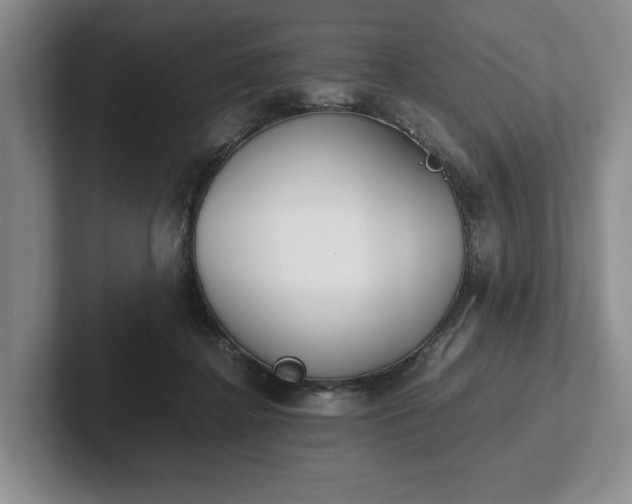 X0000102470364200808151433