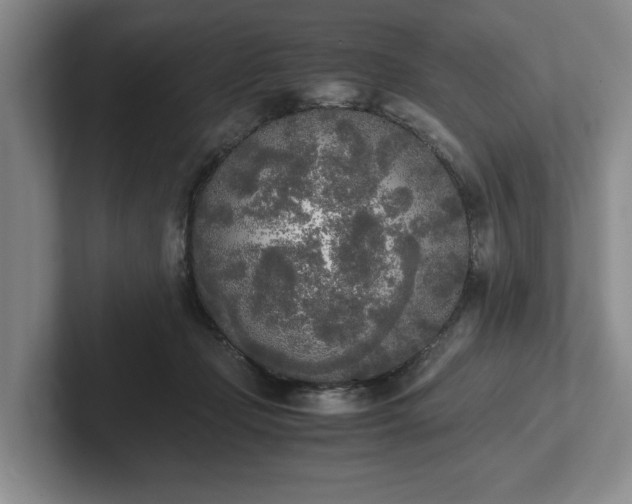 X0000102470365200808151433