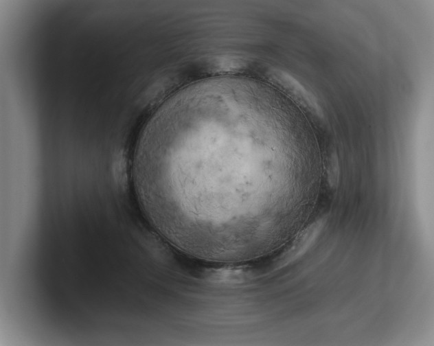 X0000102470366200808151433