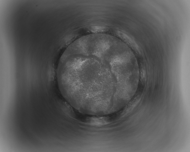 X0000102470367200808151433