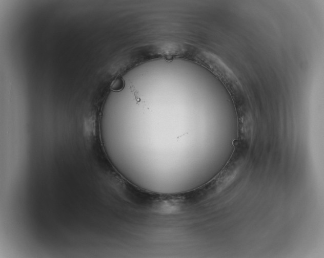 X0000102470368200808151433