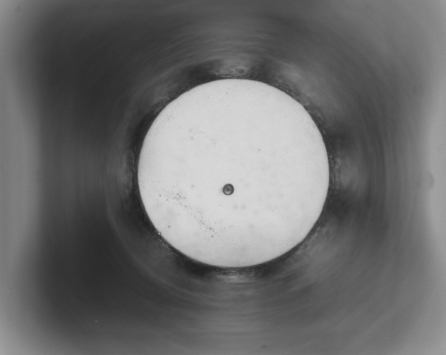 X0000102470370200808151433