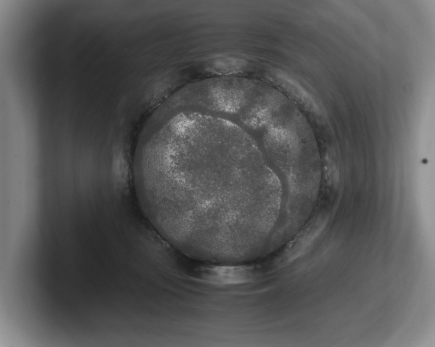 X0000102470371200808151433