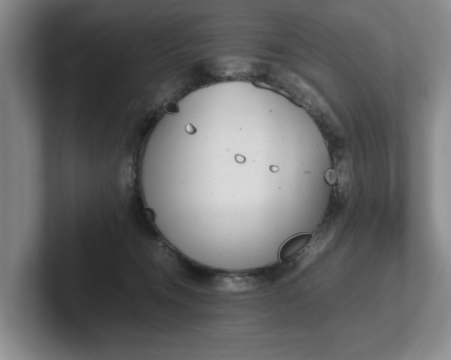 X0000102470372200808151433