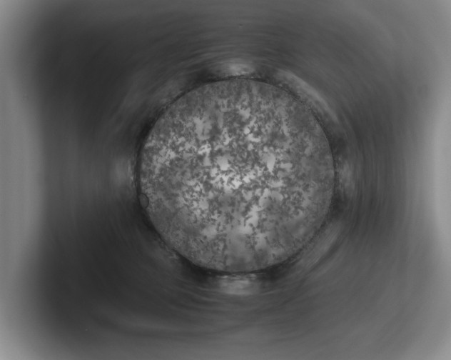 X0000102470373200808151433