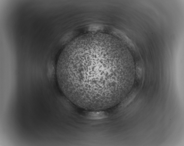 X0000102470375200808151433