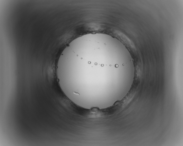 X0000102470376200808151433
