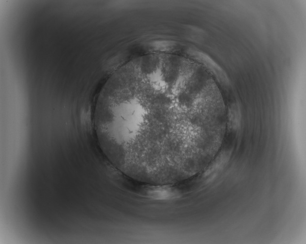 X0000102470377200808151433