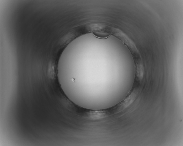 X0000102470378200808151433