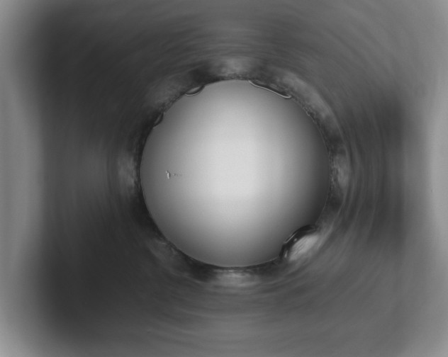 X0000102470380200808151433