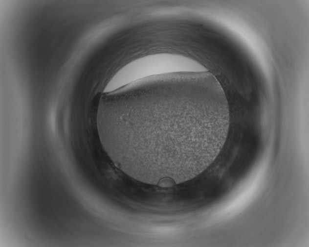 X0000102470382200808151434