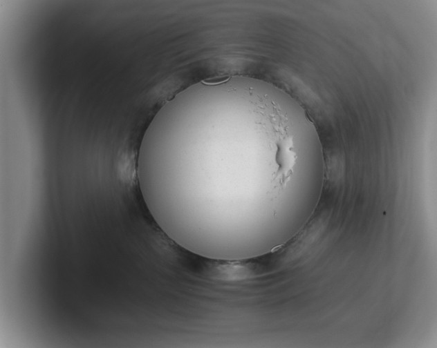 X0000102470383200808151434