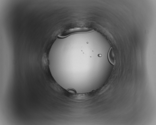 X0000102470384200808151434