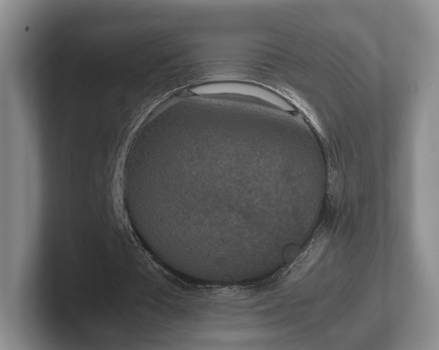 X0000102470385200808151433