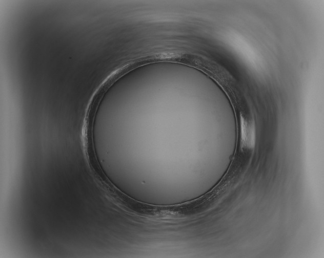X0000102470387200808151433