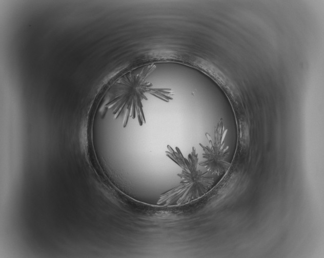 X0000102470390200808151433