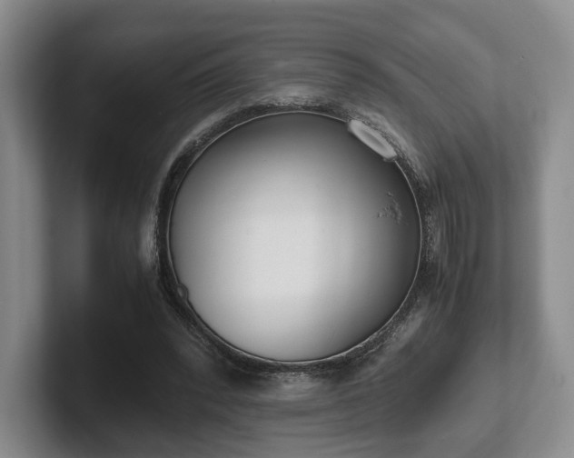 X0000102470392200808151433