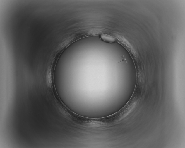X0000102470393200808151433