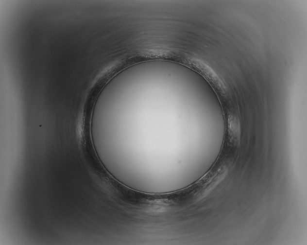 X0000102470396200808151433