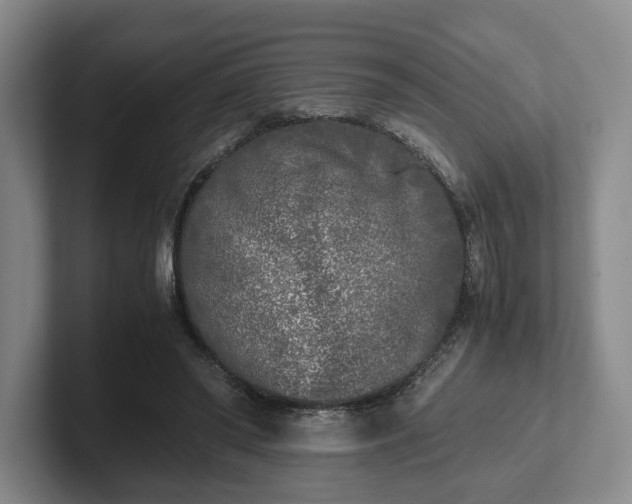 X0000102470398200808151433