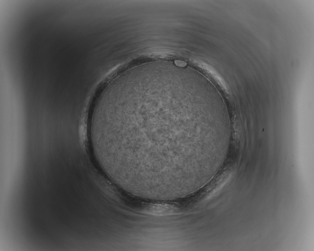 X0000102470399200808151433