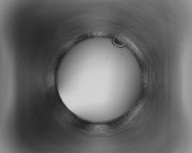 X0000102470401200808151433