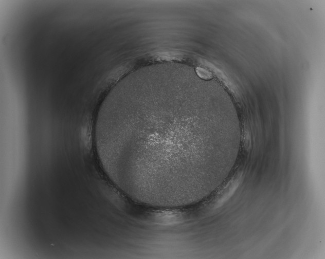 X0000102470402200808151433