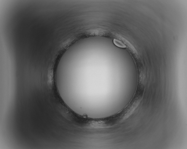 X0000102470403200808151433