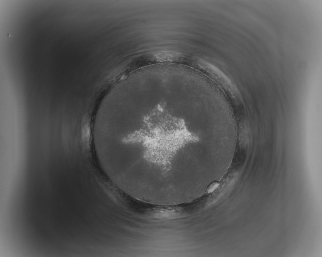 X0000102470405200808151433