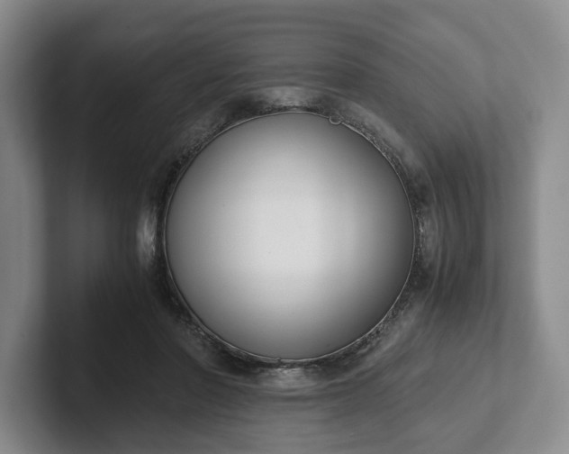 X0000102470406200808151433