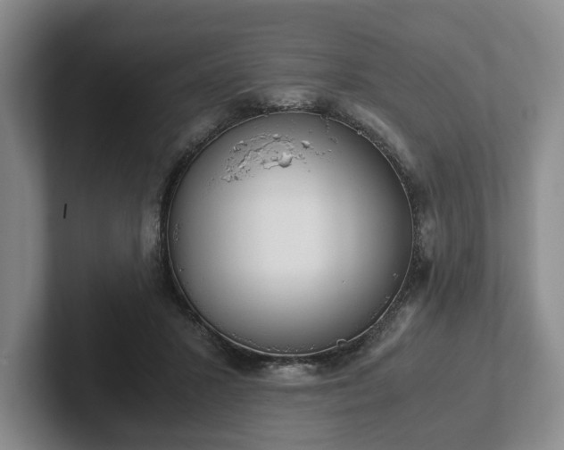 X0000102470407200808151433