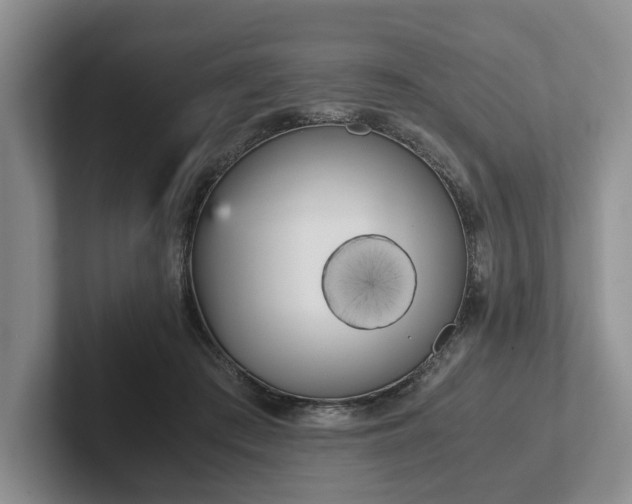 X0000102470409200808151432