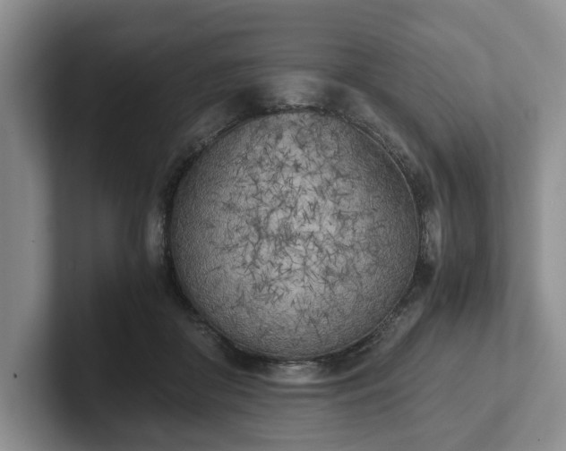 X0000102470410200808151432