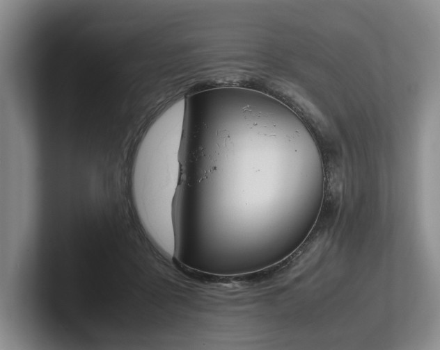 X0000102470411200808151432