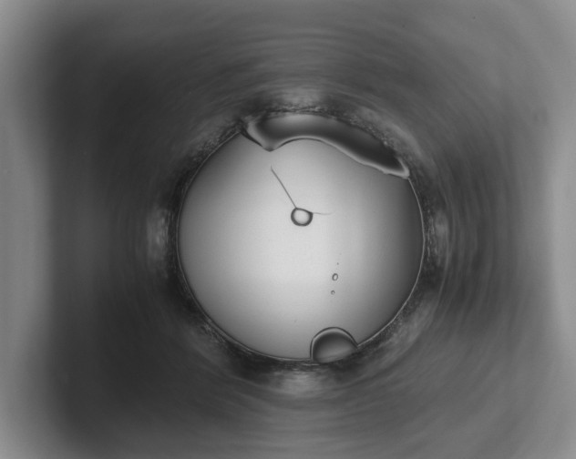 X0000102470412200808151432