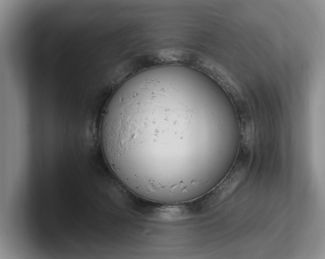X0000102470418200808151432