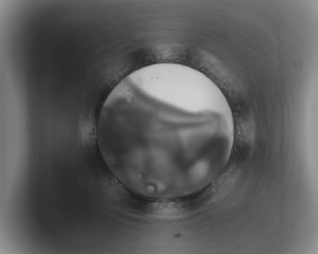 X0000102470419200808151432