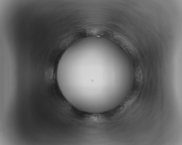 X0000102470420200808151432