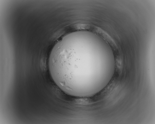 X0000102470422200808151432