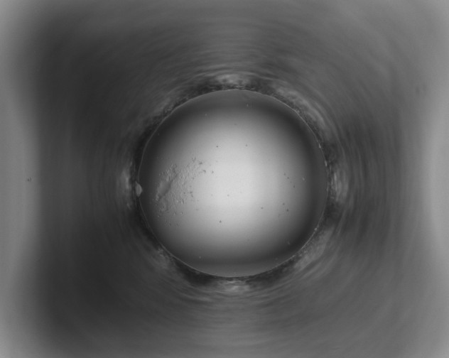 X0000102470424200808151432