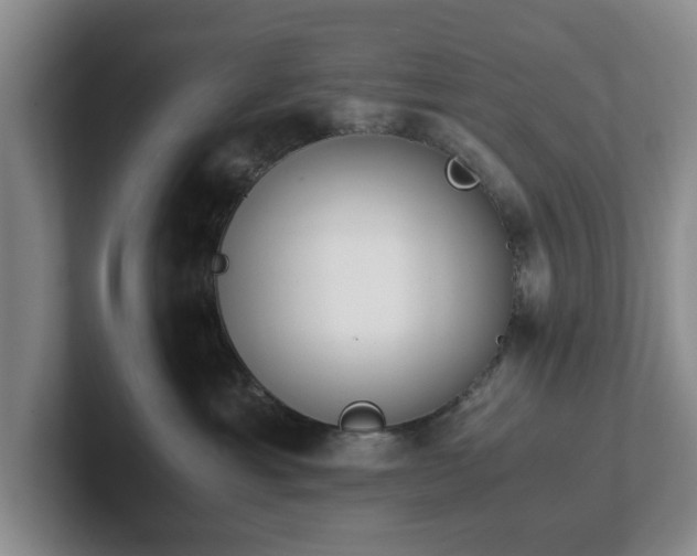 X0000102470429200808151432