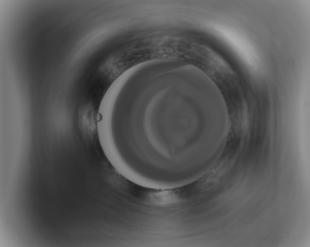 X0000102470431200808151432