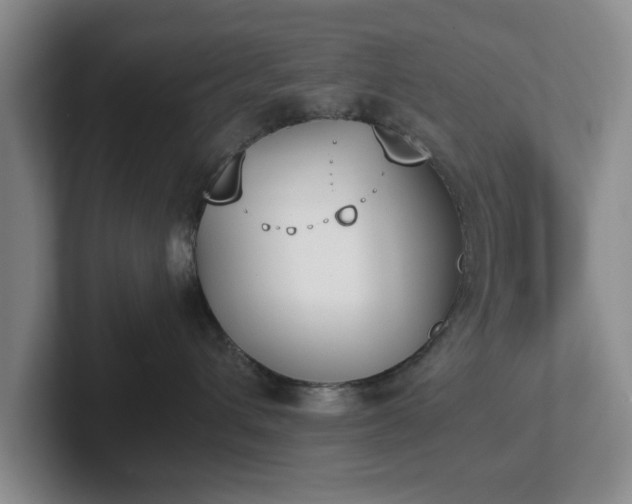 X0000102470432200808151432