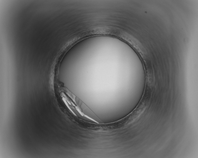 X0000102470434200808151432